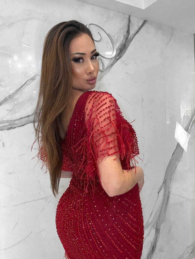 Zarina Dress, Women's Red Dresses